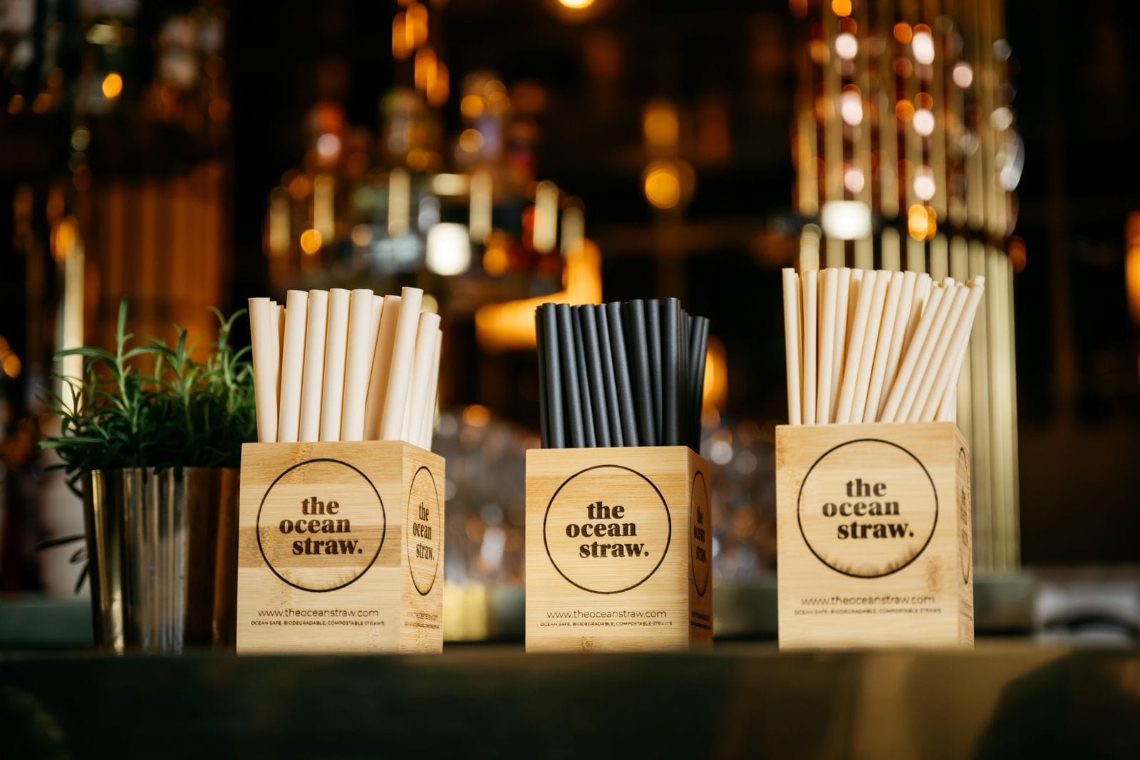Bamboo Box
